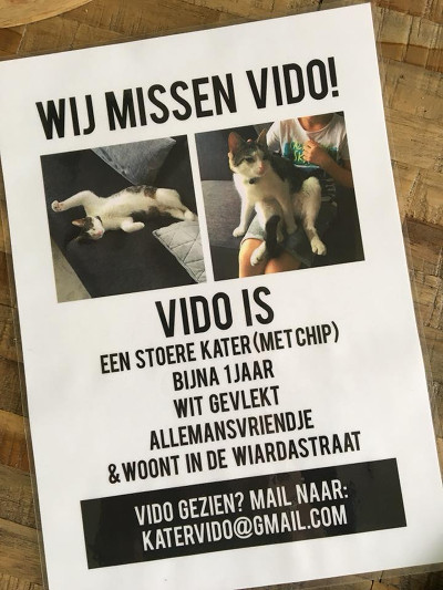 katervido